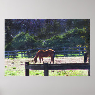 Affiche Les chevaux à l'affiche de la ferme