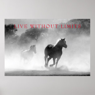 Affiche Les Chevaux Motivationnels Vivent Sans Limites