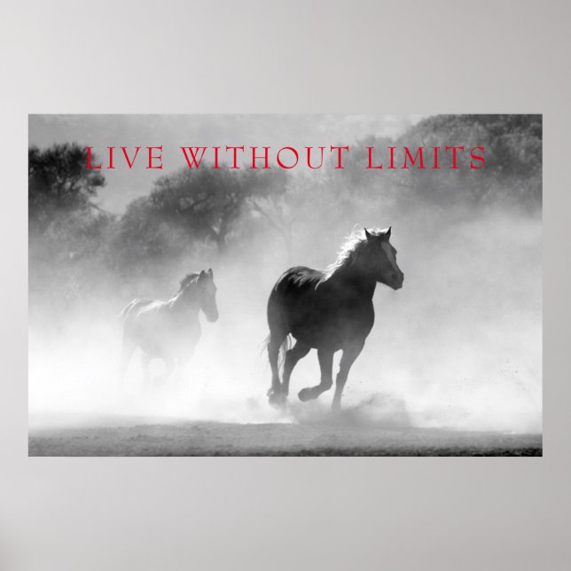 Affiche Les Chevaux Motivationnels Vivent Sans Limites (Devant)