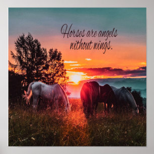 Affiche Les chevaux sont des anges sans ailes