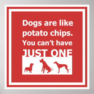Affiche Les chiens sont comme des chips