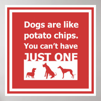 Affiche Les chiens sont comme des chips