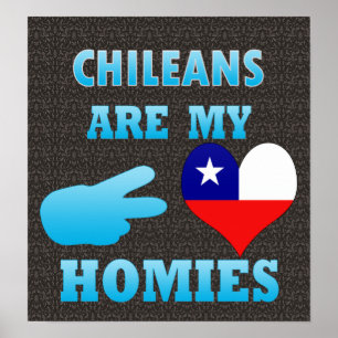 Affiche Les Chiliens sont mes Hommes
