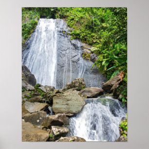 Affiche Les chutes de la coca dans la forêt nationale d'el
