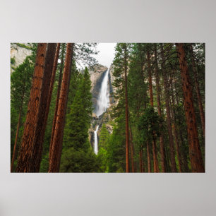 Affiche Les chutes de Yosemite dans la forêt