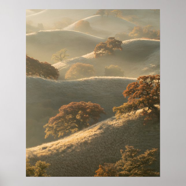 Affiche Les Collines (Devant)