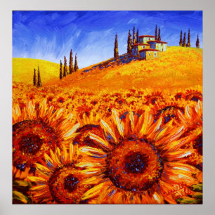 Affiche Les collines de tournesol toscane
