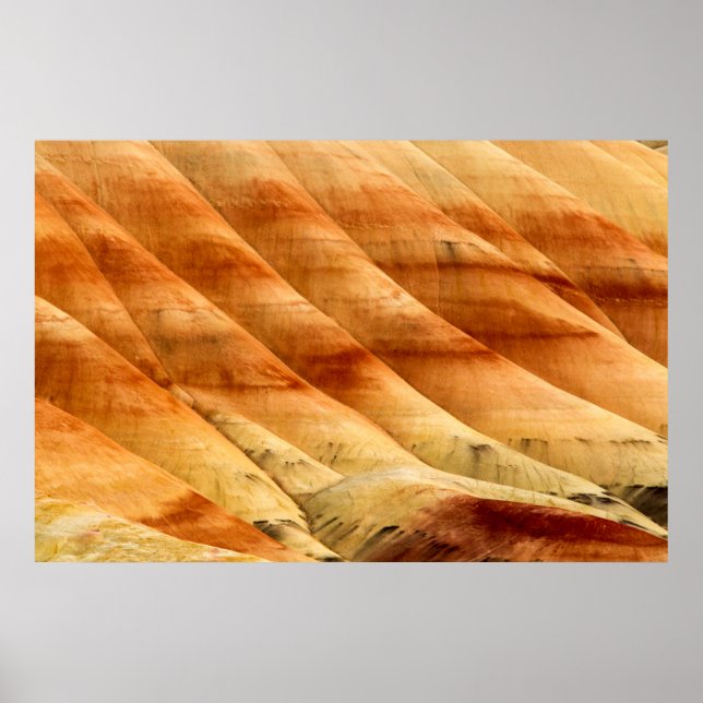 Affiche Les collines peintes dans les lits de fossiles de  (Devant)