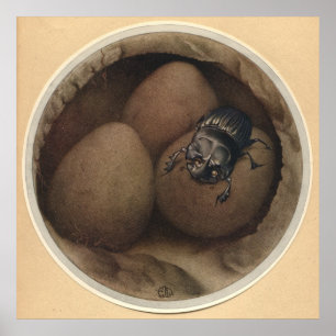 Affiche LES COPRIS ESPAGNOLS - Illustration du livre d'ins