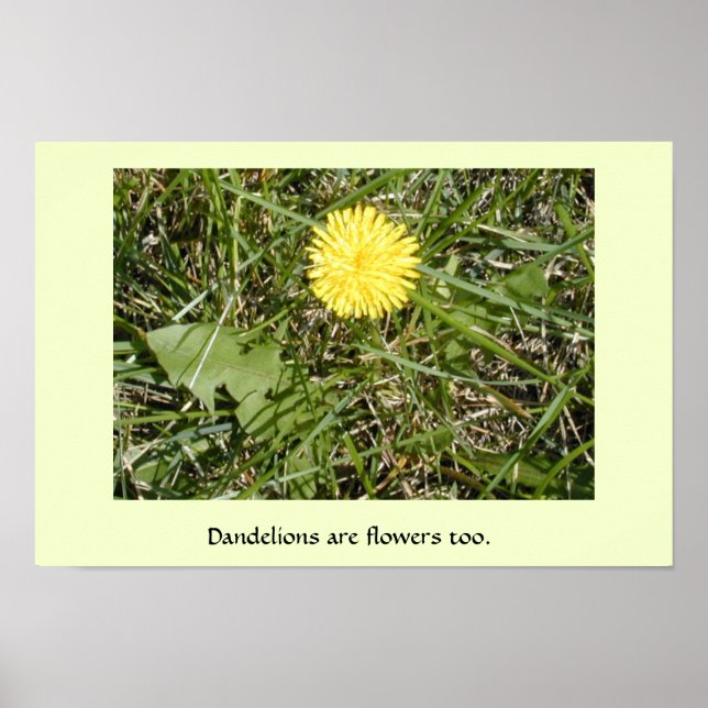 Affiche "Les Dandelions sont des fleurs" (Devant)