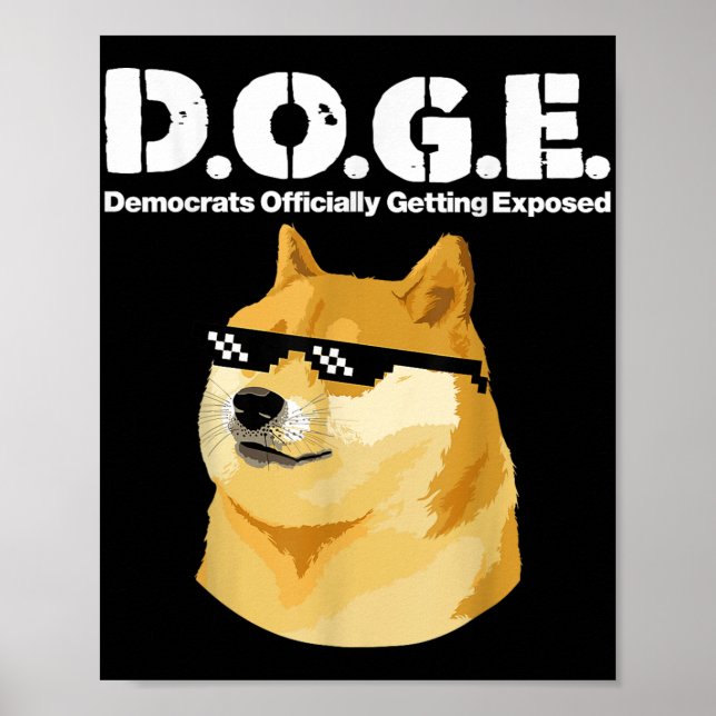 Affiche Les Démocrates De Mème Doge Officiellement Exposés (Devant)