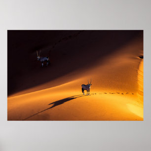 Affiche Les déserts Parc national du Namib Naukluft Keny