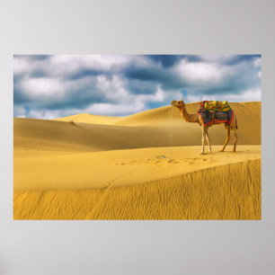 Affiche Les déserts   Thar Desert Rajasthan Inde Camel