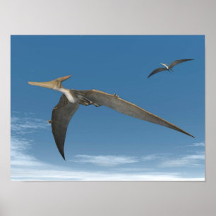 Affiche Les dinosaures de Pteranodon volent - rendu 3D
