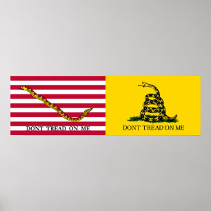 Affiche Les drapeaux de la Marine Jack & Gadsden - Vers 17