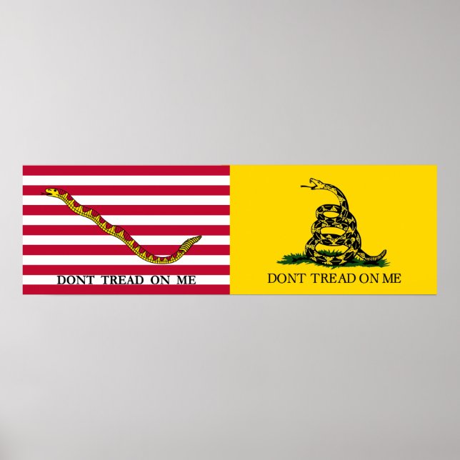 Affiche Les drapeaux de la Marine Jack & Gadsden - Vers 17 (Devant)