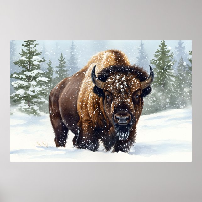 Affiche Les échos de l'hiver : le royaume du bison (Devant)