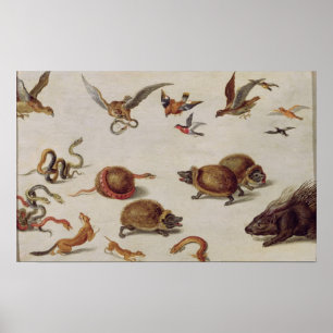 Affiche Les ennemis des serpents