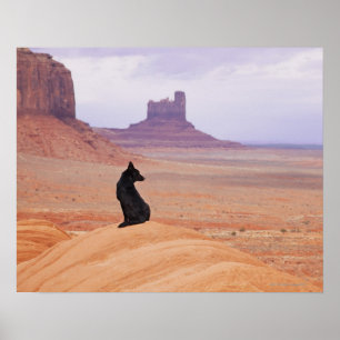 Affiche Les Etats-Unis, Utah, vallée de monument, chien s