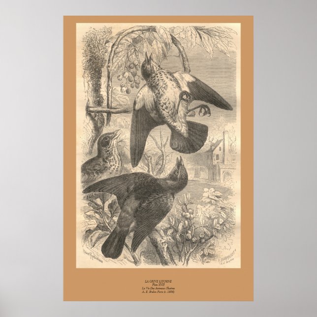 Affiche Les fares sur le terrain (Devant)