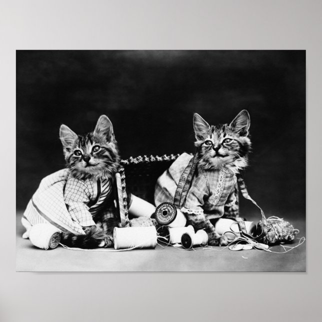 Affiche Les fauteurs de troubles - Harry Whittier Frees (Devant)