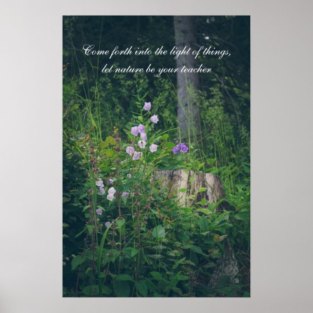 Affiche Les fleurs de Bellflowers dans les bois (Devant)