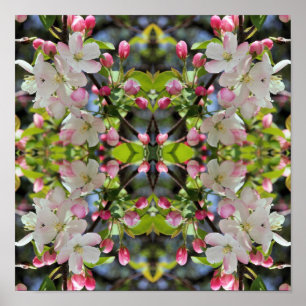 Affiche Les fleurs de pomme du début du printemps Abstrait