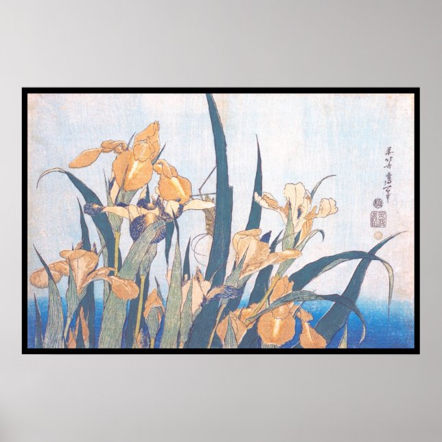 Affiche Les fleurs d'Irises et de Grasshopper Katsushika H (Devant)