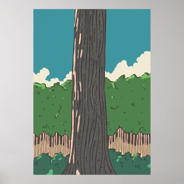 Affiche Les forêts japonaises (Devant)