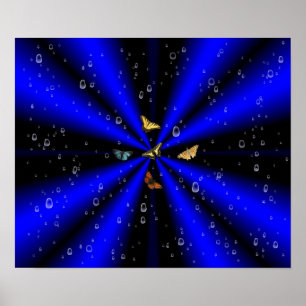 Affiche Les gouttes de pluie et le papillon sur le noir et