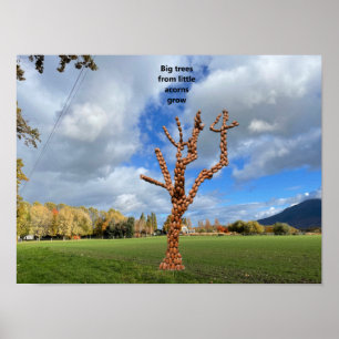 Affiche Les grands arbres poussent à partir de petits glan