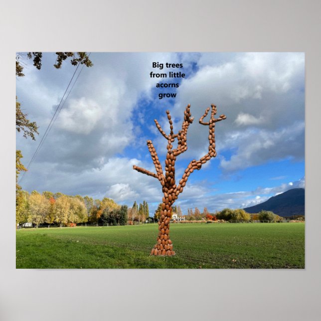 Affiche Les grands arbres poussent à partir de petits glan (Devant)