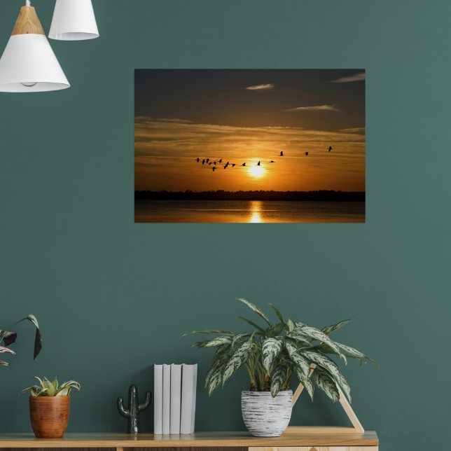 Affiche Les Grands Hérons Au Coucher Du Soleil (Salon 1)