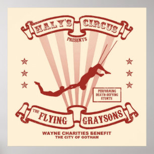 Affiche Les Graysons volants