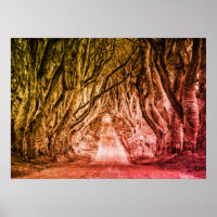 LES HAUTEURS SOMBRES, CO. ANTRIM, IRLANDE DU NORD