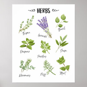 Affiche Les herbes impriment le décor de cuisine d'art de