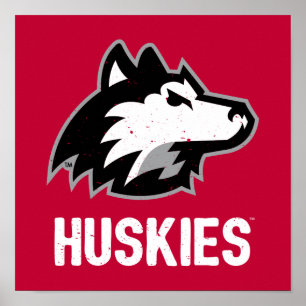 Affiche Les Huskies de NIU en détresse