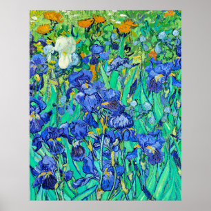 Affiche Les Iris de Van Gogh
