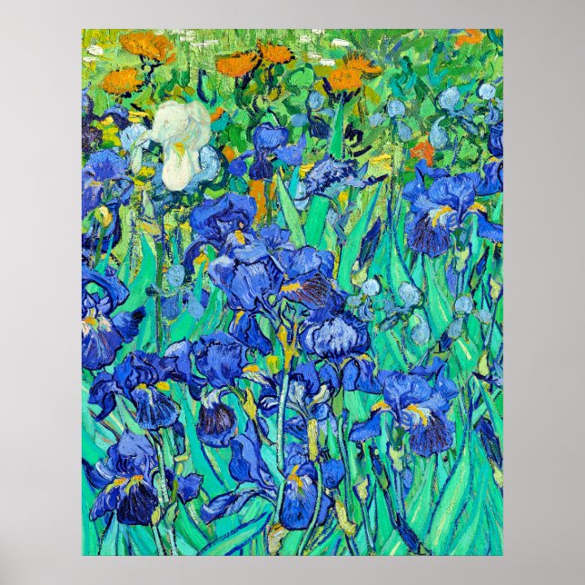 Affiche Les Iris de Van Gogh  (Devant)