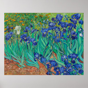 Affiche Les Irises de Van Gogh