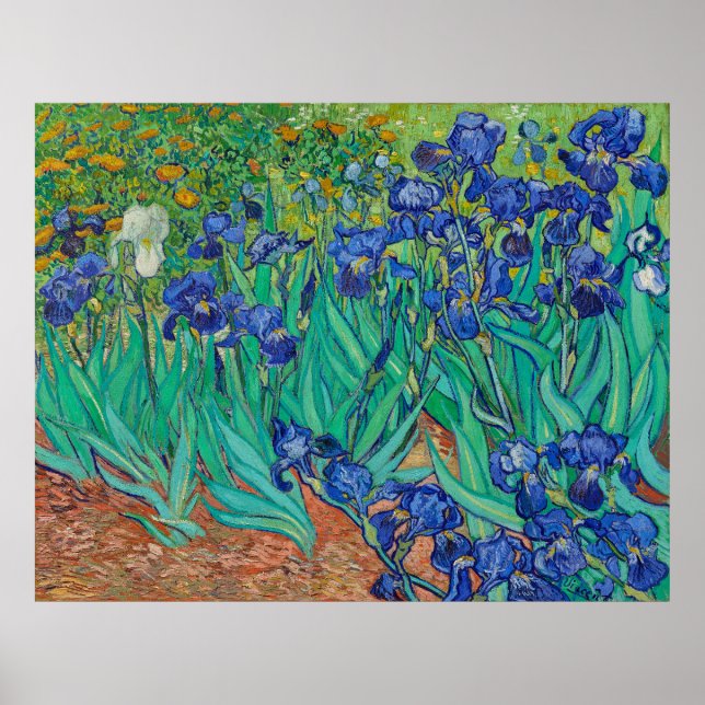 Affiche Les Irises de Van Gogh (Devant)