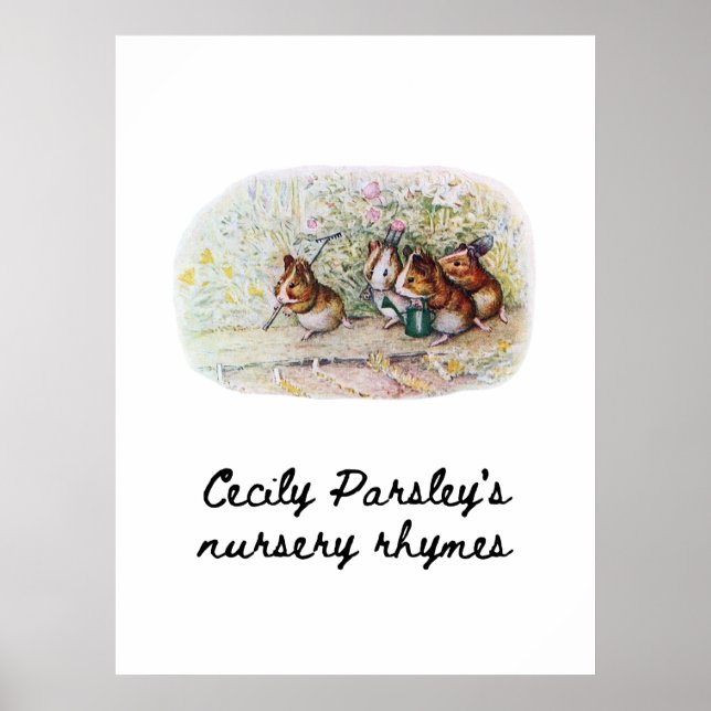 Affiche Les jardiniers de cochons de Guinée (Devant)