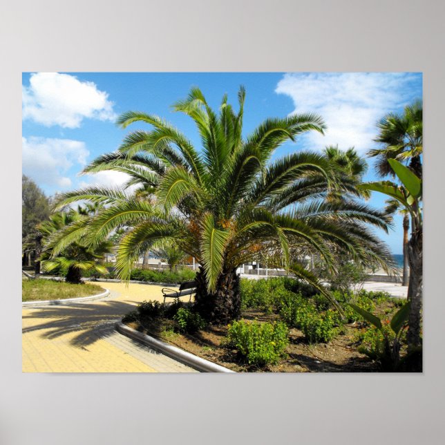 Affiche Les jardins de Puerto Banus (Devant)