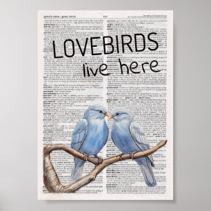 Affiche Les Lovebirds y vivent