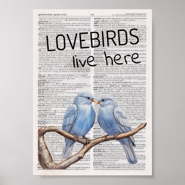 Affiche Les Lovebirds y vivent (Devant)