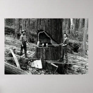 Affiche LES LUMBERJACKS DE FORÊT PROFONDE c. 1890