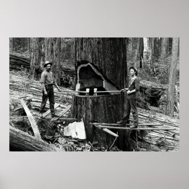 Affiche LES LUMBERJACKS DE FORÊT PROFONDE c. 1890 (Devant)