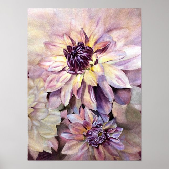 Affiche Les magnifiques Dahlias (Devant)