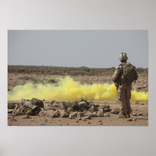 Affiche Les marines assurent la sécurité