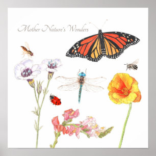 Affiche Les merveilles de Mère Nature